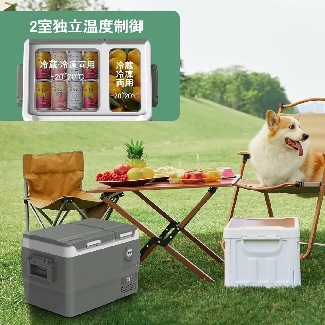 車載冷蔵庫 2室 31L 独立温度制御 ポータブル冷蔵庫 2フタ開き