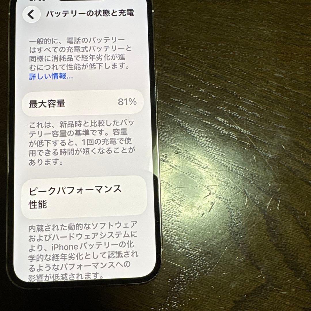 Apple iPhone 13 Pro シルバー本体