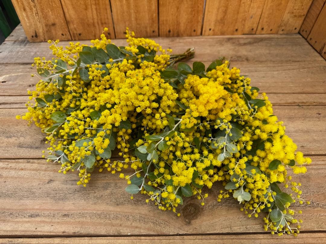 さんぽ様 リクエスト 4点 まとめ商品