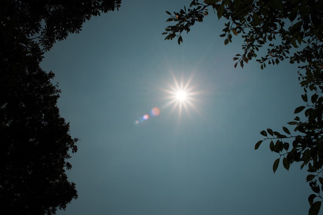 【整備＆テスト済】Nikon Ai Nikkor 35mm F2 ニコン 500