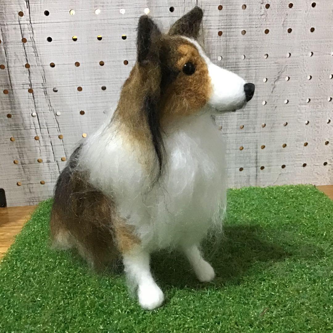 【渡辺様ご予約品】シェットランドシープドッグ（お座りポーズ）
