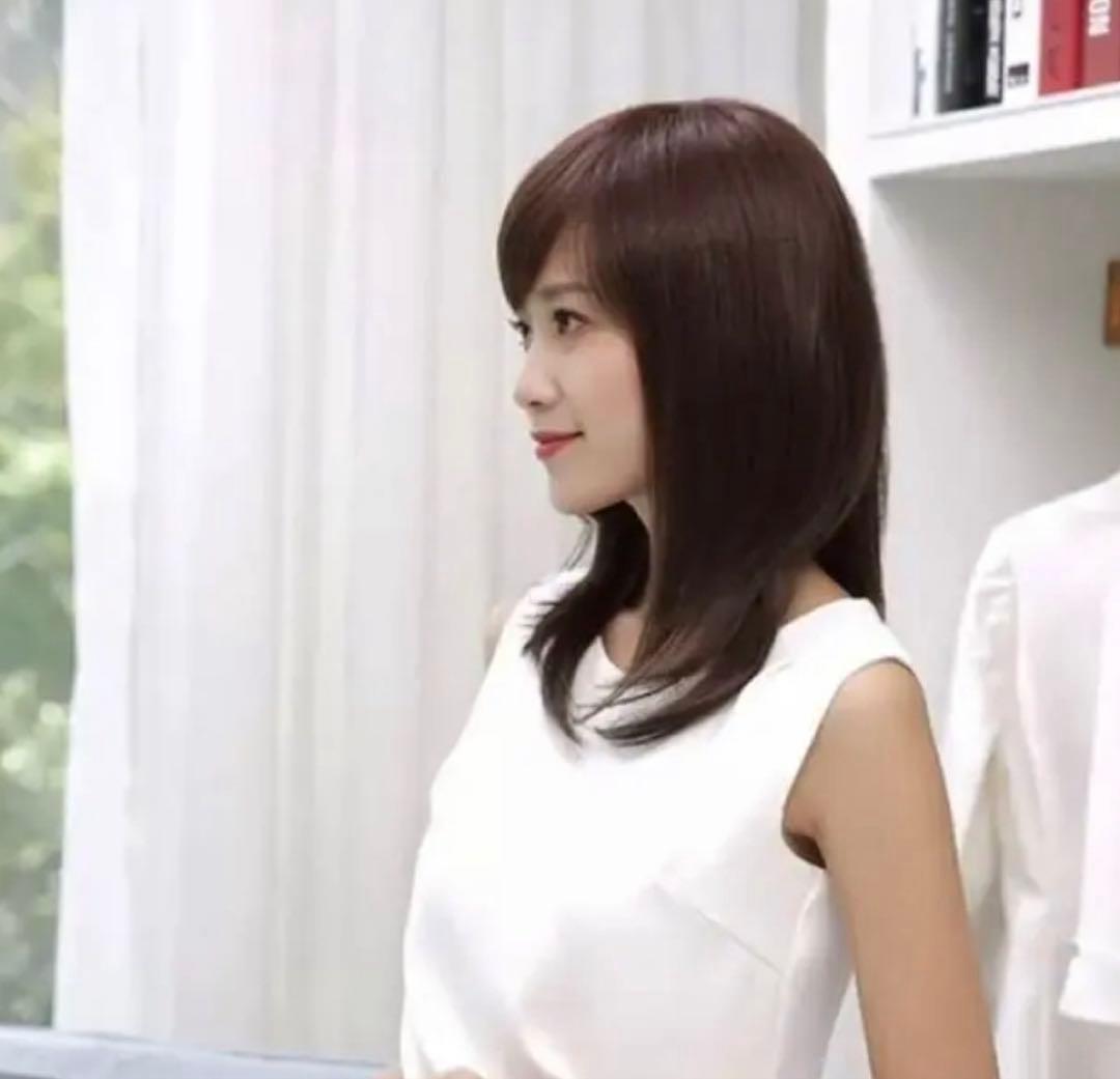 人毛100% ストレート サラサラ ウィッグ かつら　LV42