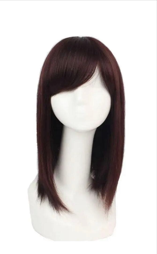 人毛100% ストレート サラサラ ウィッグ かつら　LV42