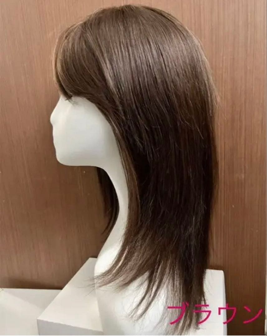 人毛100% ストレート サラサラ ウィッグ かつら　LV42