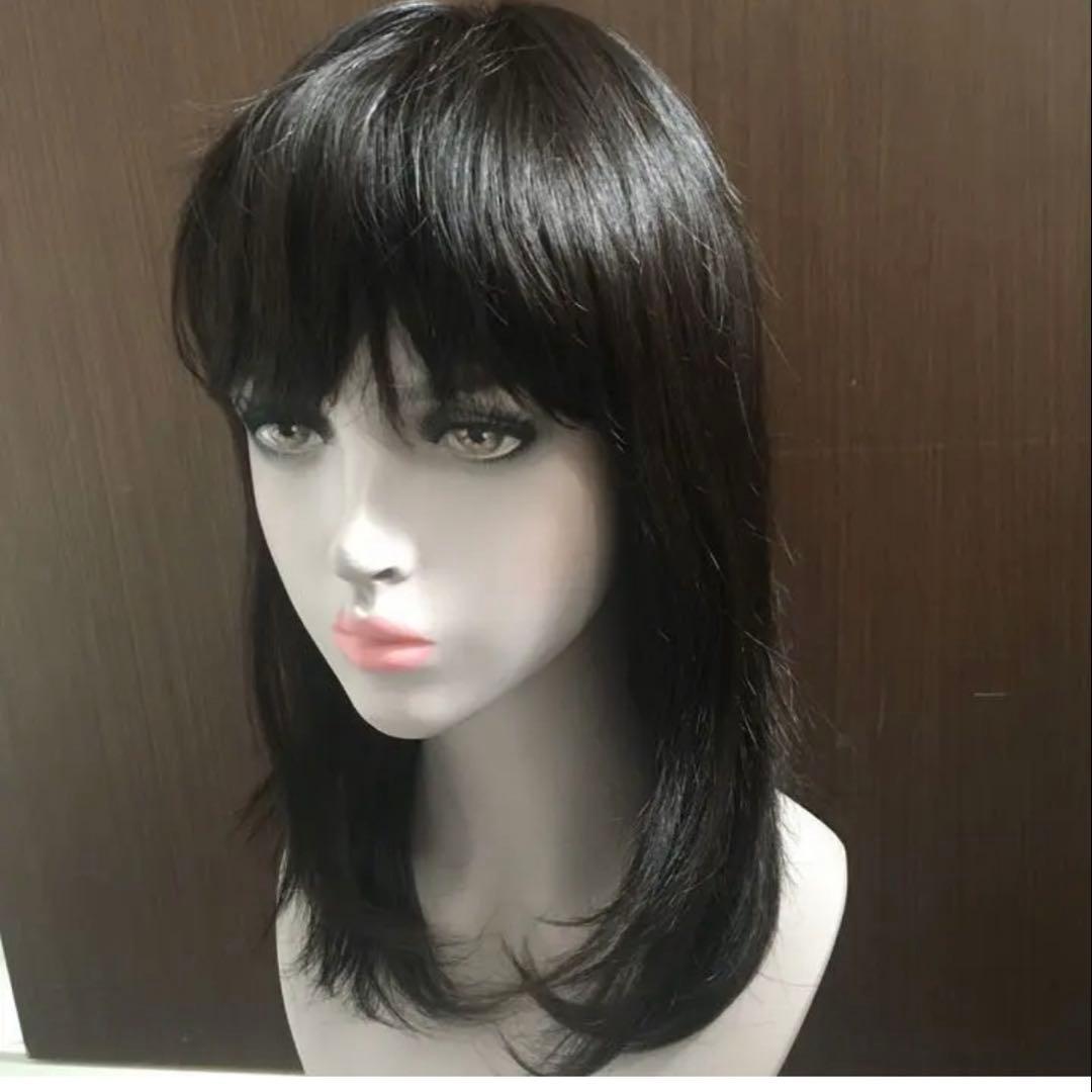 人毛100% ストレート サラサラ ウィッグ かつら　LV42