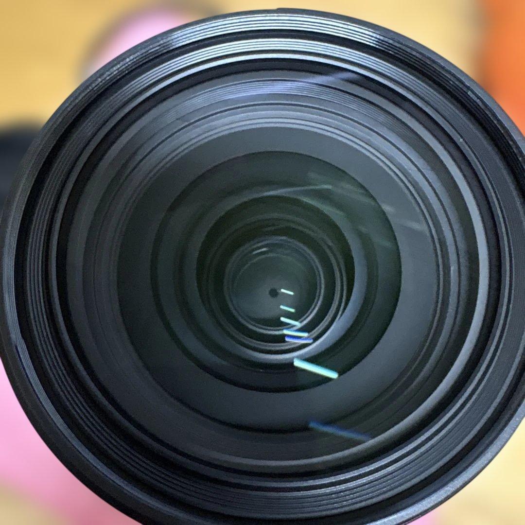 ウソップキャプテン様FE24-70mm F2.8 GM 2 SEL2470GM2