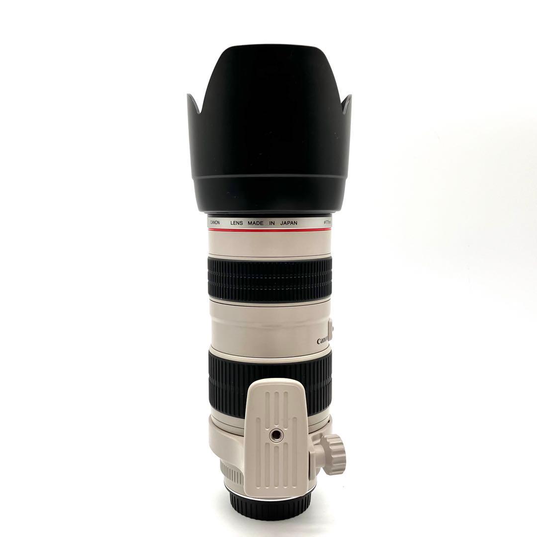 Canon 70-200mm F2.8 L USM 単焦点レンズ　Lレンズ