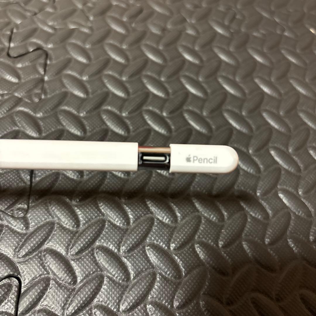 iPadアクセサリー apple pencil (USB-C)