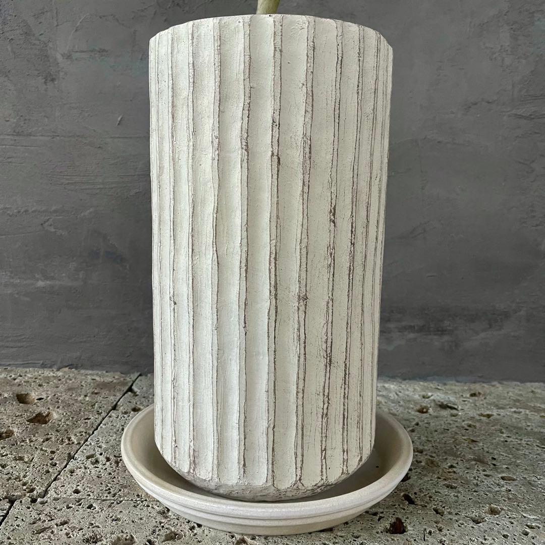 大型　フィカス　ベンガレンシス　オードリー　陶器鉢　植え込み発送