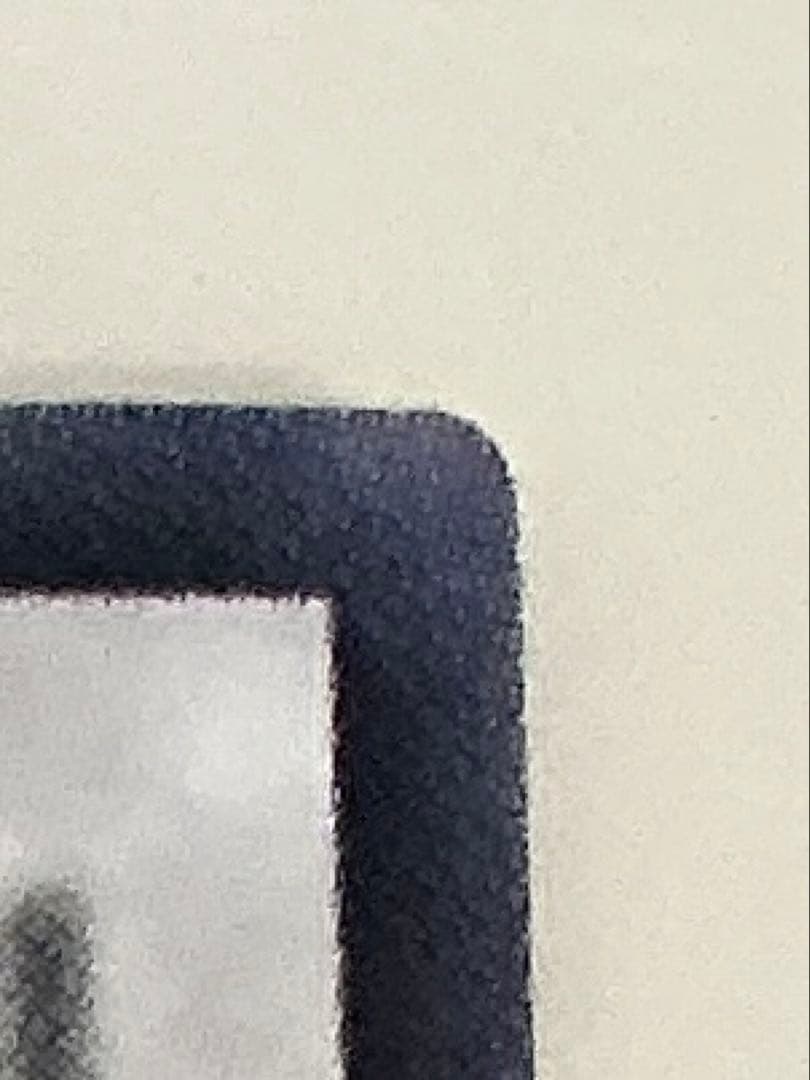 【極極美品】遊戯王　スターダスト・ドラゴン レリーフ　TDGS-JP040