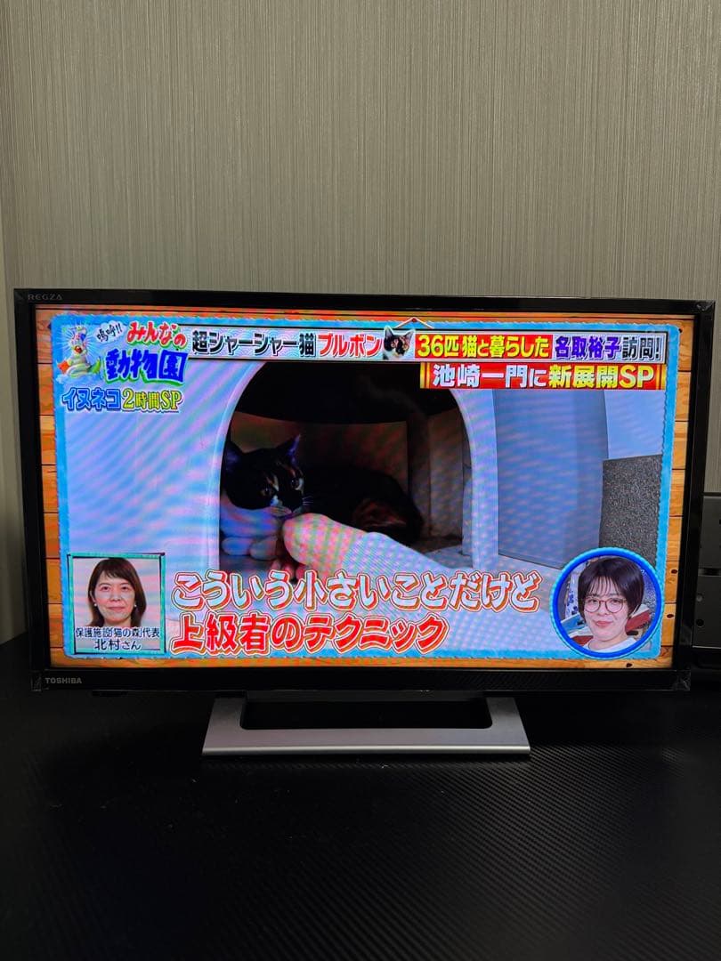 テレビ TOSHIBA REGZA 24V34