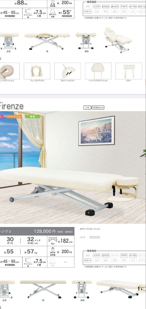 ★約５万円分おまけ付き★フォンタナ　電動エステベッド