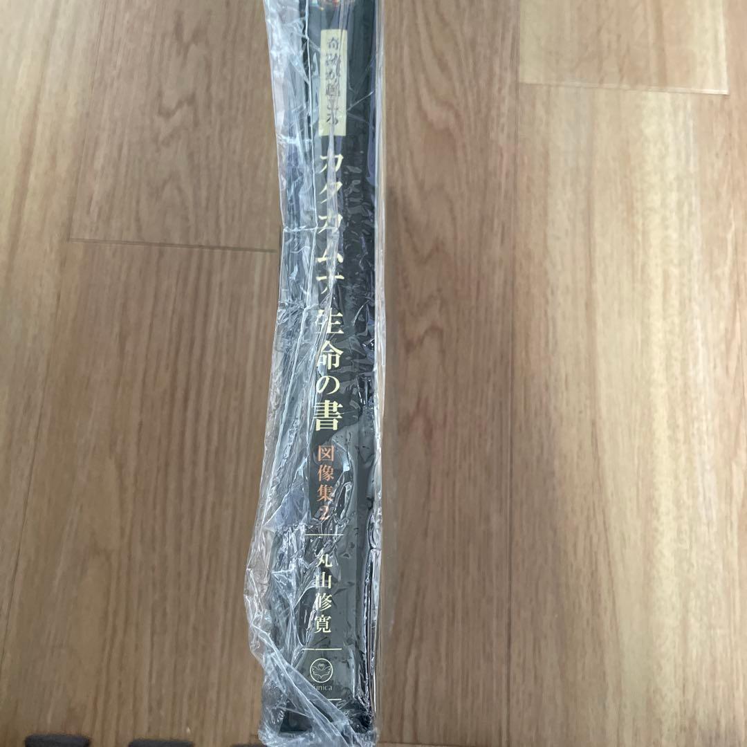 て*い様 カタカムナ生命の書 図像集2