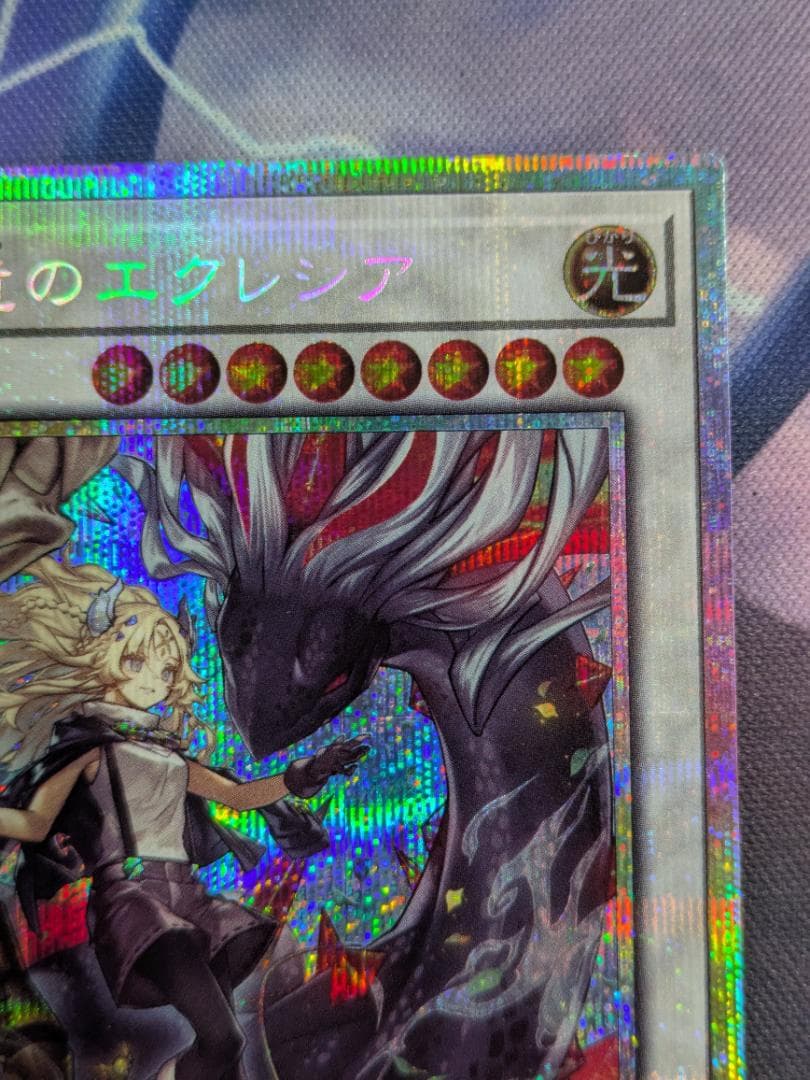 黒き竜のエクレシア　プリシク　遊戯王