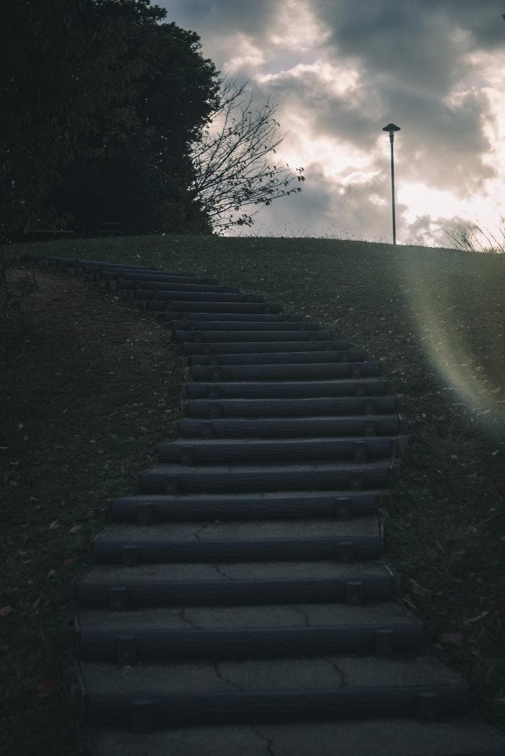 mauLR様　Leica Elmar 65mm F3.5 Visoflex