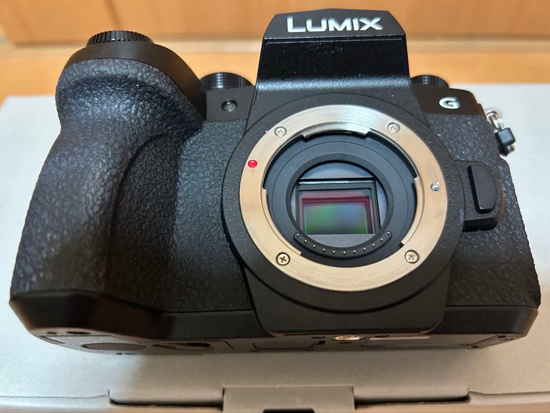 Panasonic LUMIX G99 II 本体・レンズ・箱付き