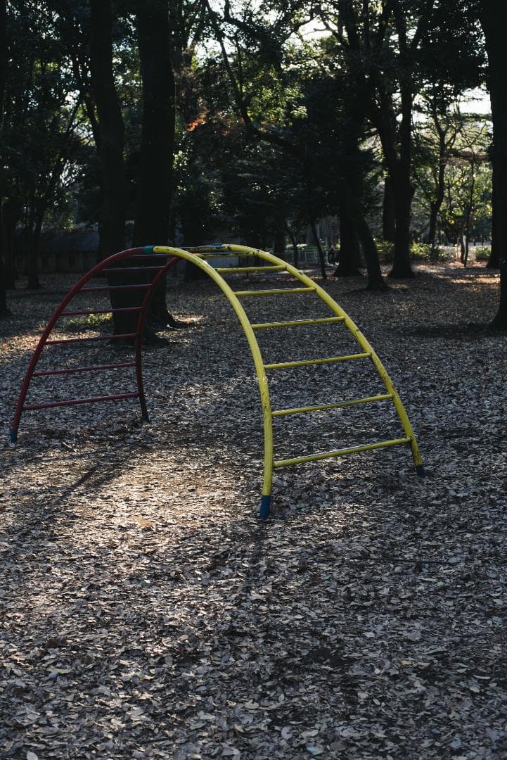 良品！標準の帝王！Planar 50mm F1.4 AEJ オールドレンズ