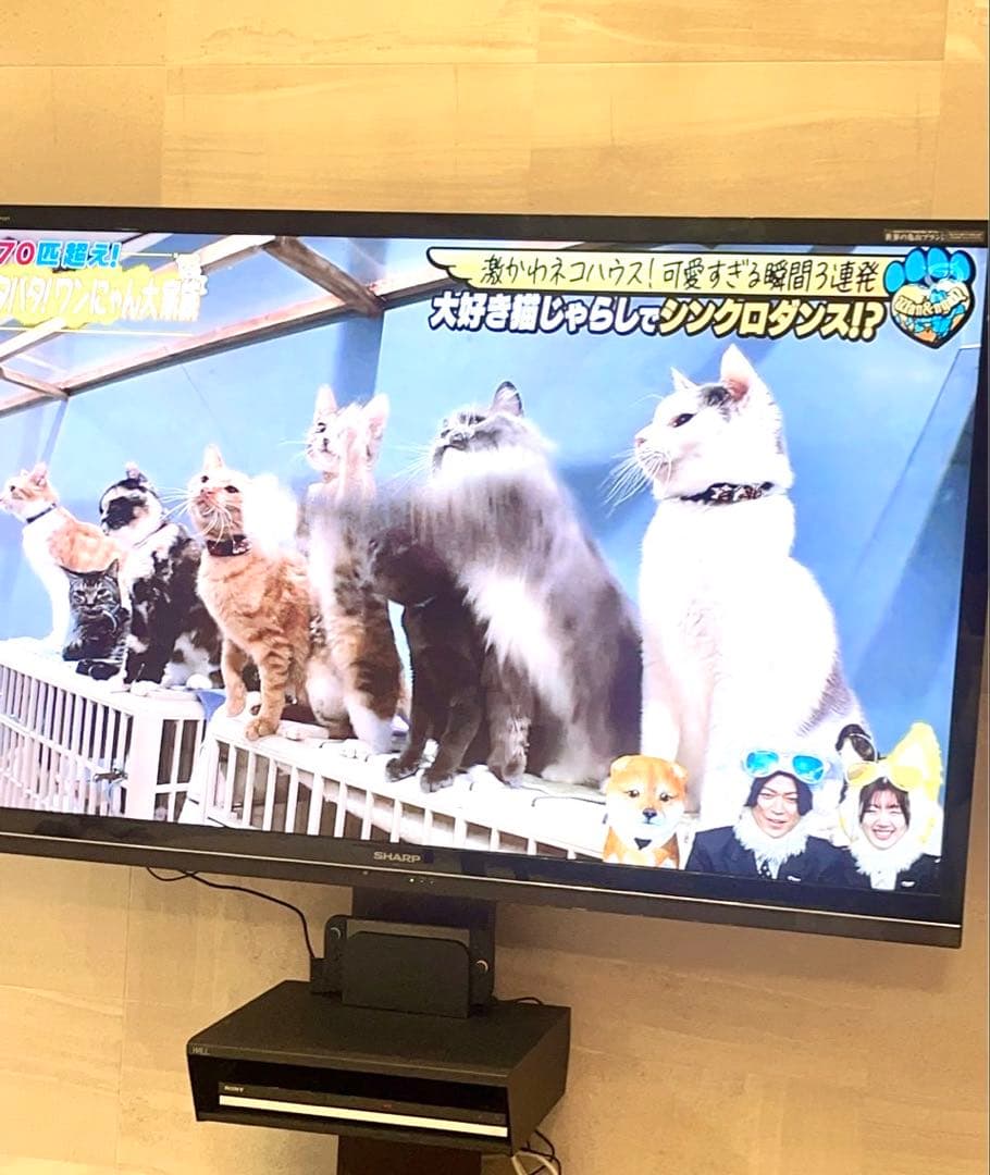 SHARPテレビ本体70インチのみ　LC-70GL7