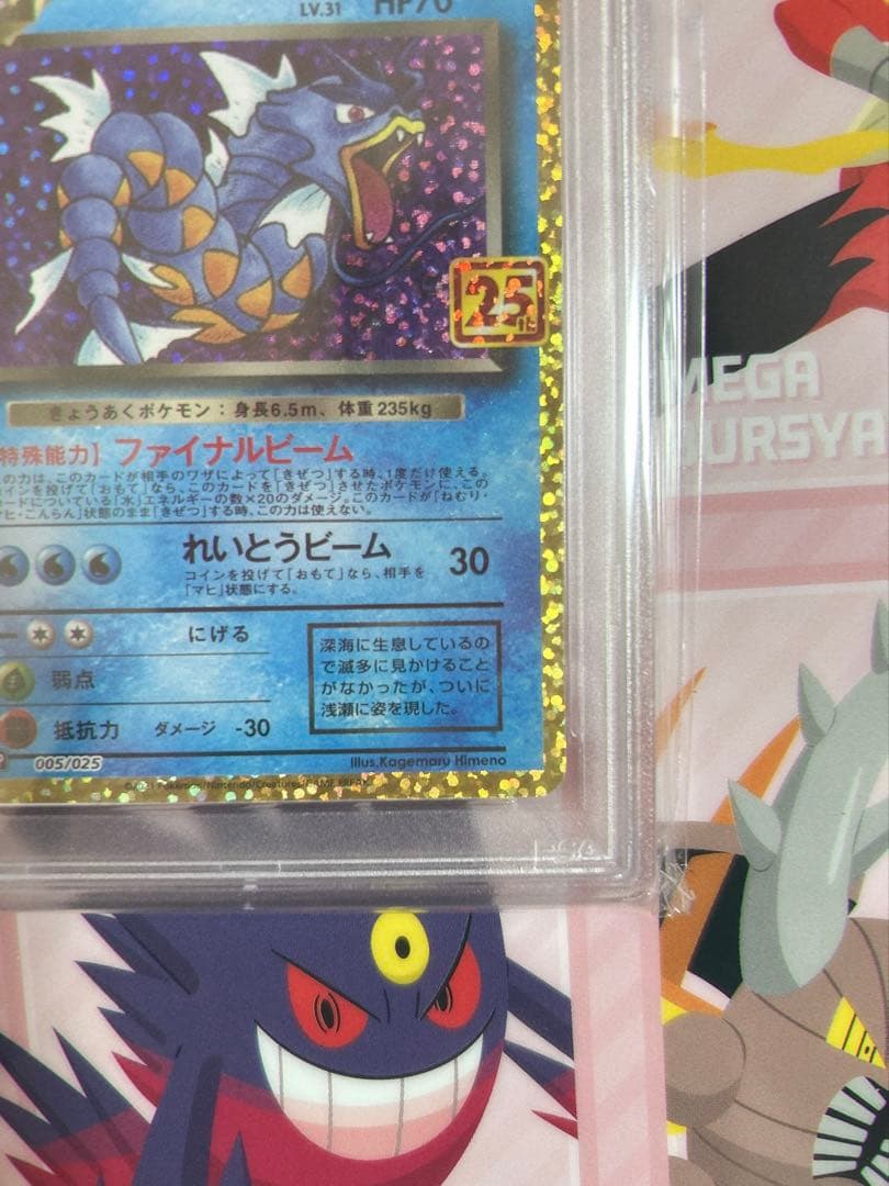 わるいギャラドス: プロモ[S8a-P 005/025]25th アニバーサリー