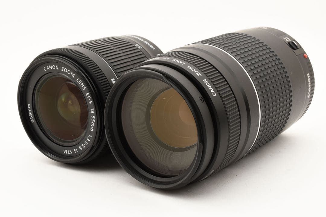 Canon EOS 80D/約2420万画素/標準&望遠ダブルレンズセット