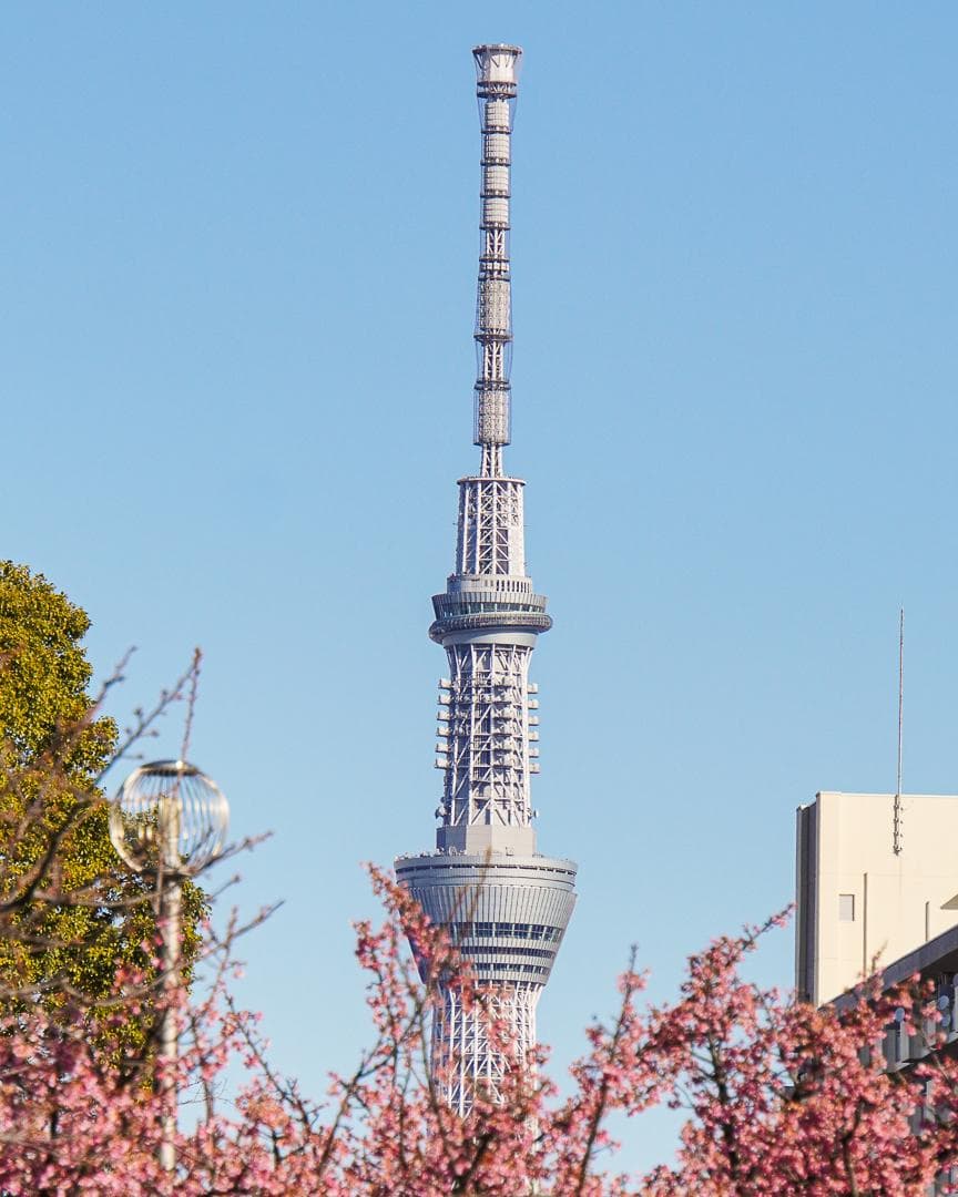 SONY α6400 + TAMRON 18-200mm セット