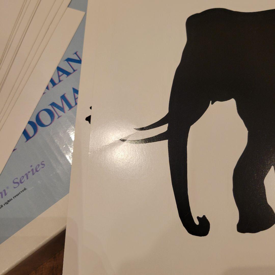 知育玩具 Your Smart Baby's First Program