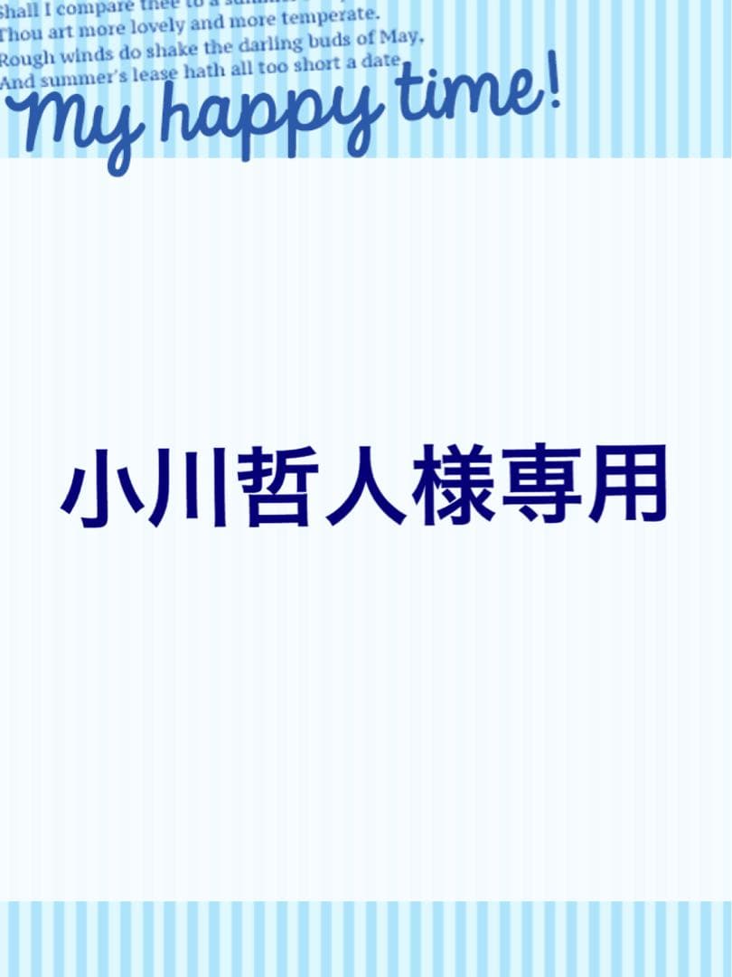 SONY ハンディカムHDR-SR11 バッテリー、テレビなどに繋ぐ配線など