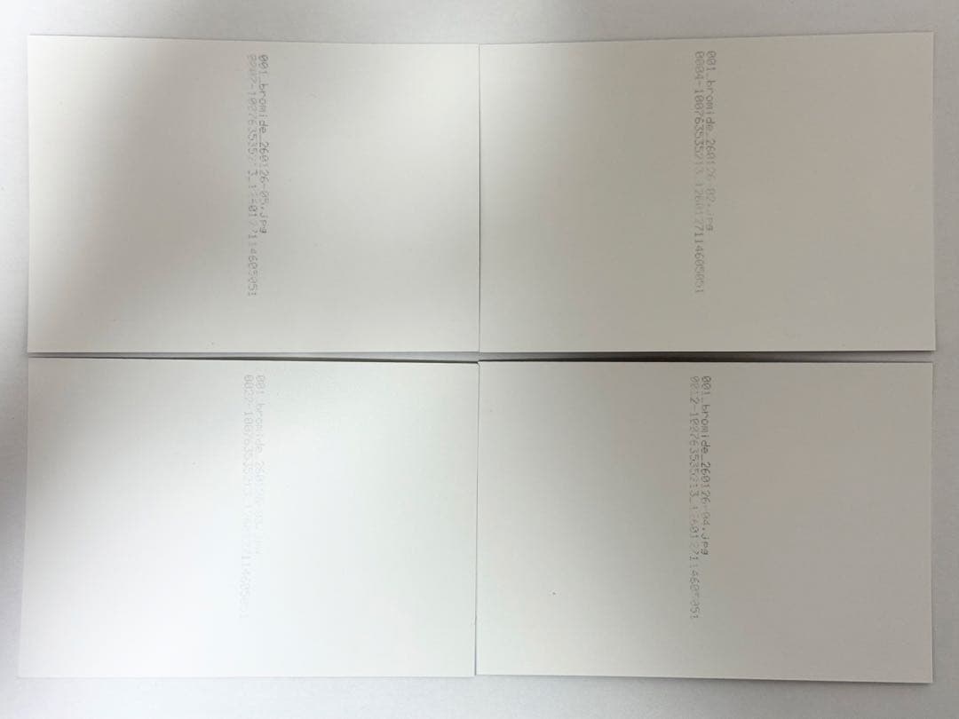 イマーシブフォート東京　ブロマイド　集合写真　4作品