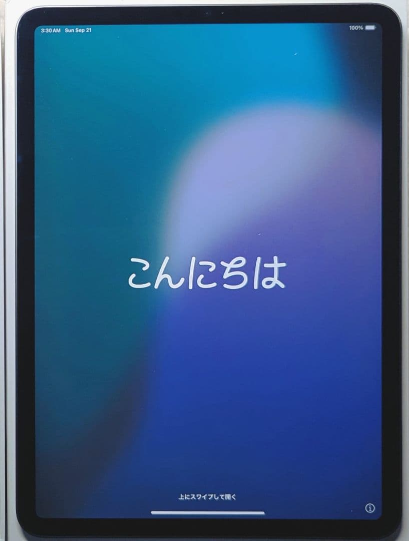 iPad Pro 11インチ第3世代128GB M1 スペースグレー