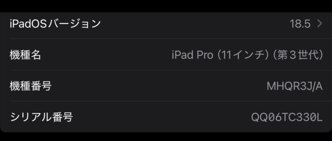 iPad Pro 11インチ第3世代128GB M1 スペースグレー