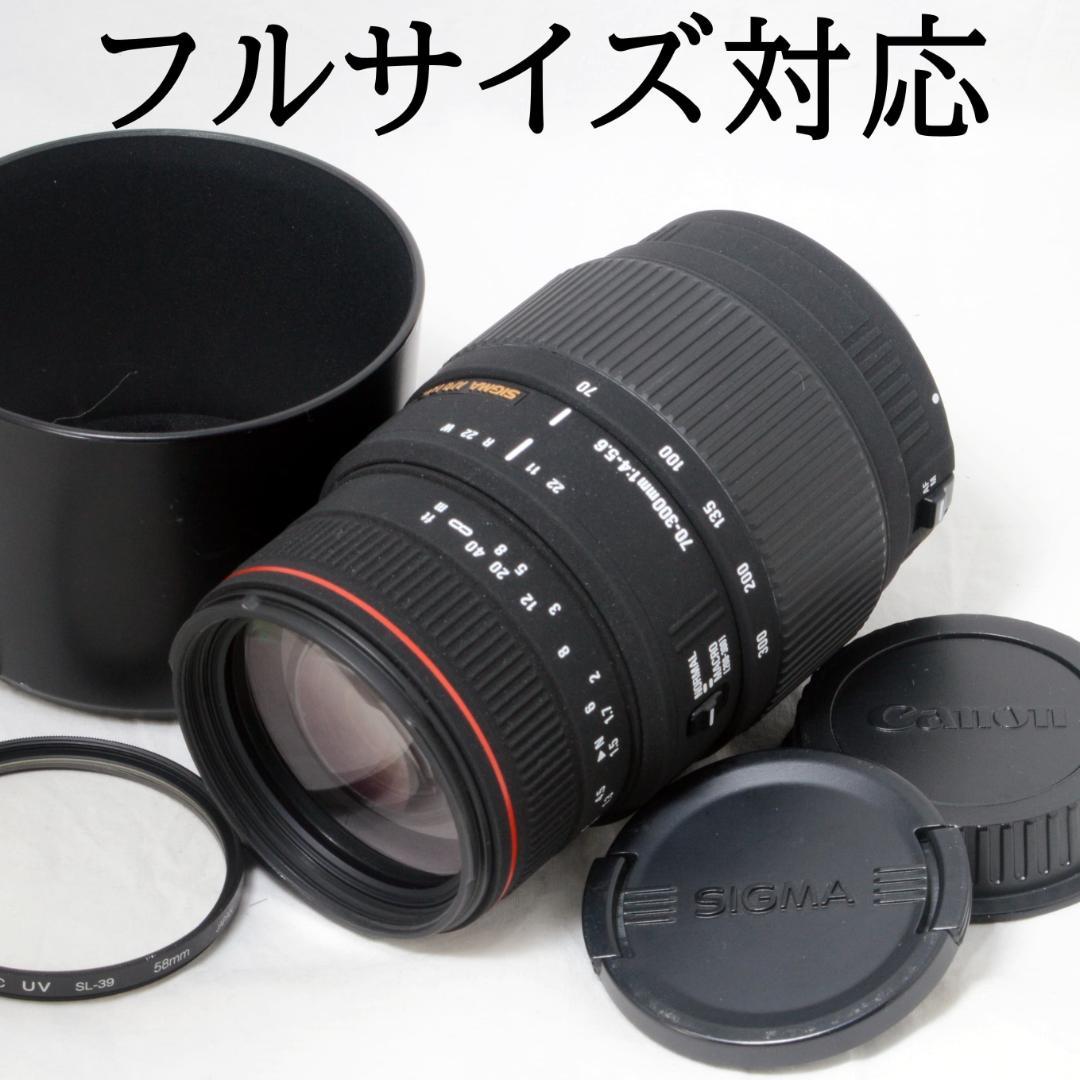 ★極美品★SIGMA シグマ 70-300mm APO DG キヤノン用