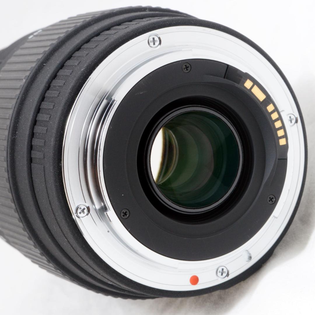 ★極美品★SIGMA シグマ 70-300mm APO DG キヤノン用