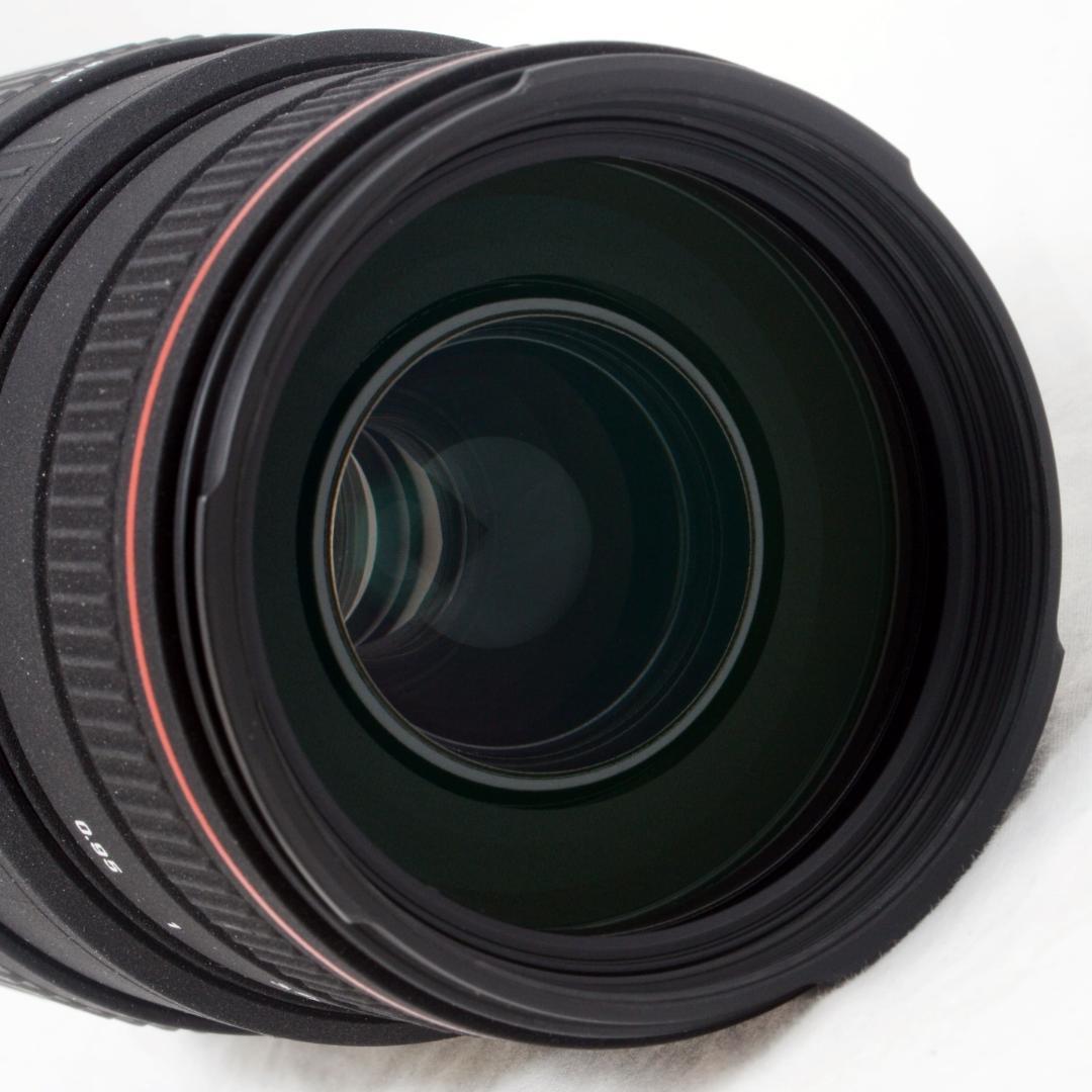 ★極美品★SIGMA シグマ 70-300mm APO DG キヤノン用