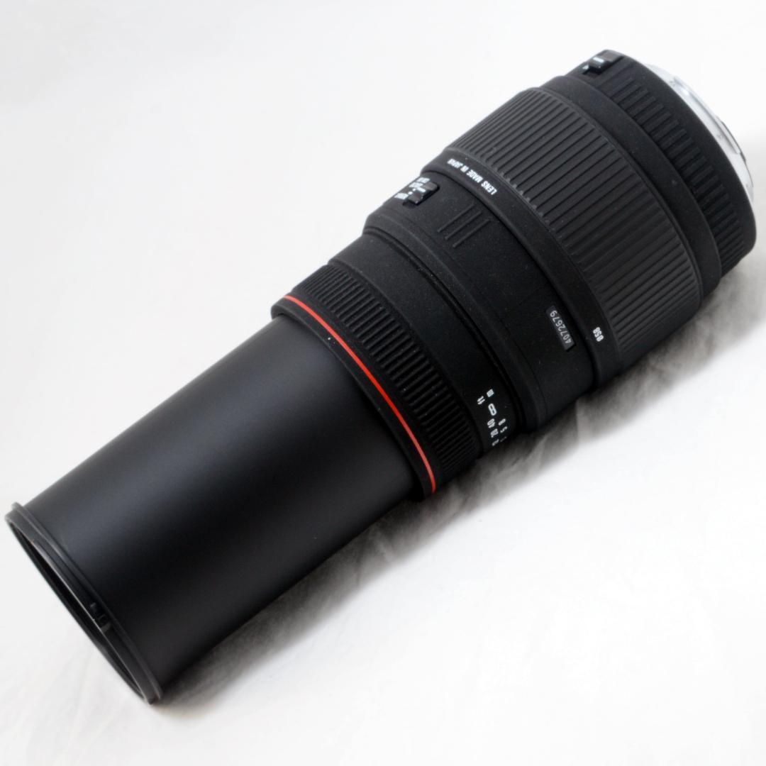 ★極美品★SIGMA シグマ 70-300mm APO DG キヤノン用