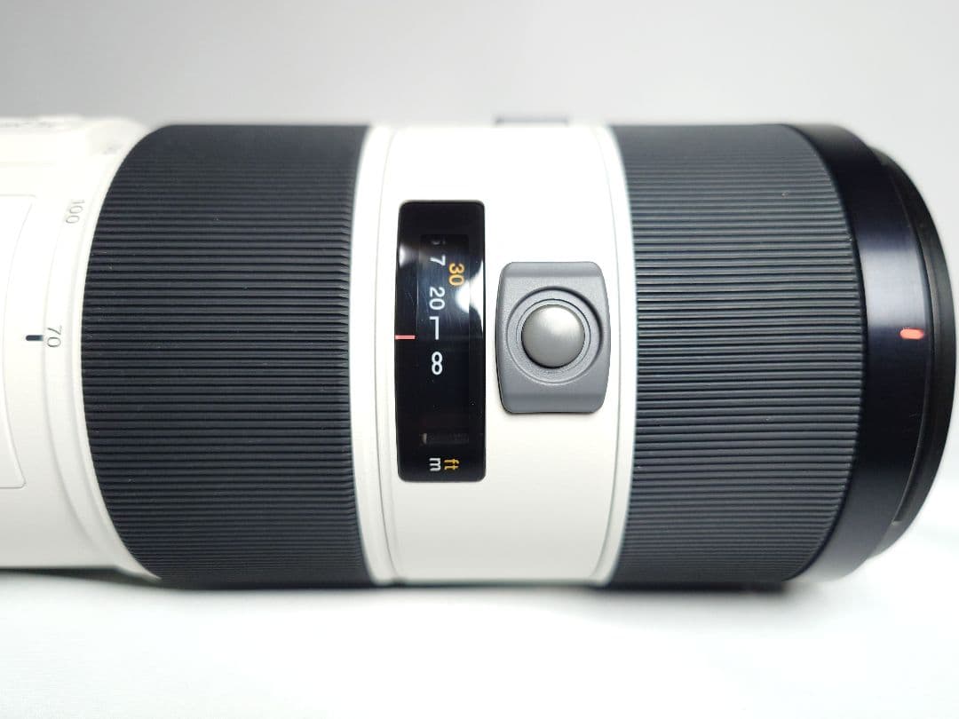 SONY 70-200mm F2.8 G SAL70200G (Aマウント)