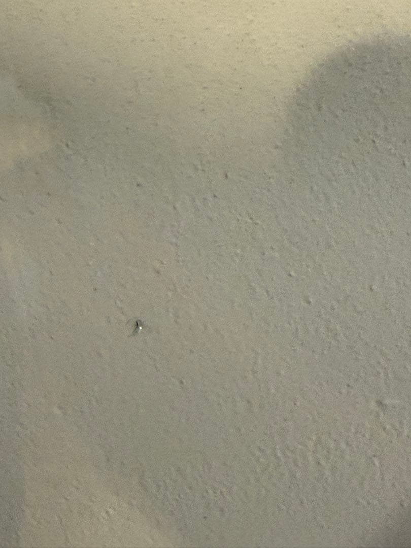 unico ウニコ SIGNE シグネ ローテーブル