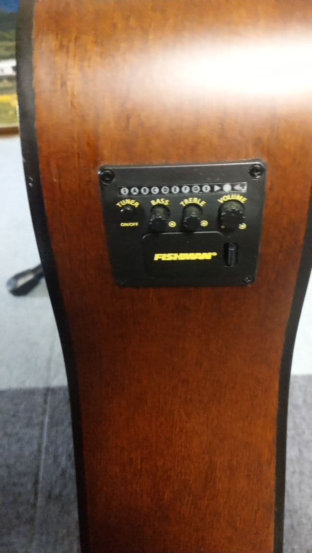 タ*ダ様 Epiphone PR-200NS Fishman マイク&チューナー