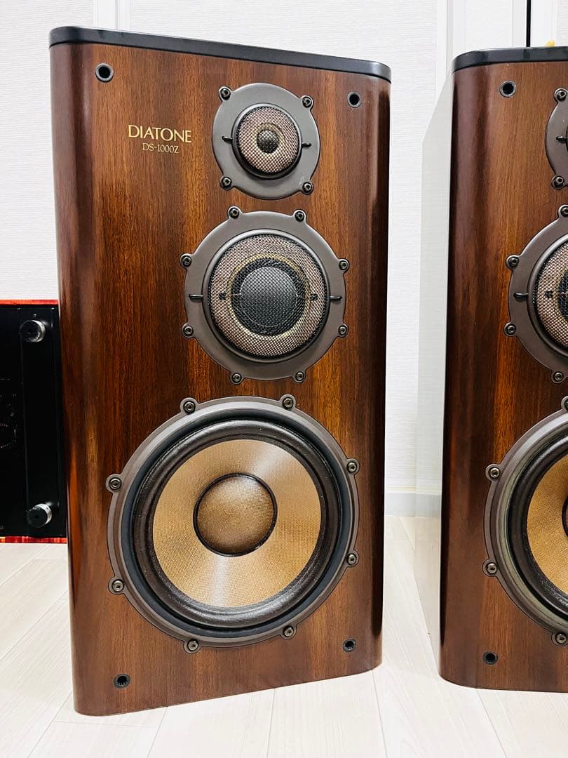 DIATONE DS-1000Z (godou様の専用品です。)