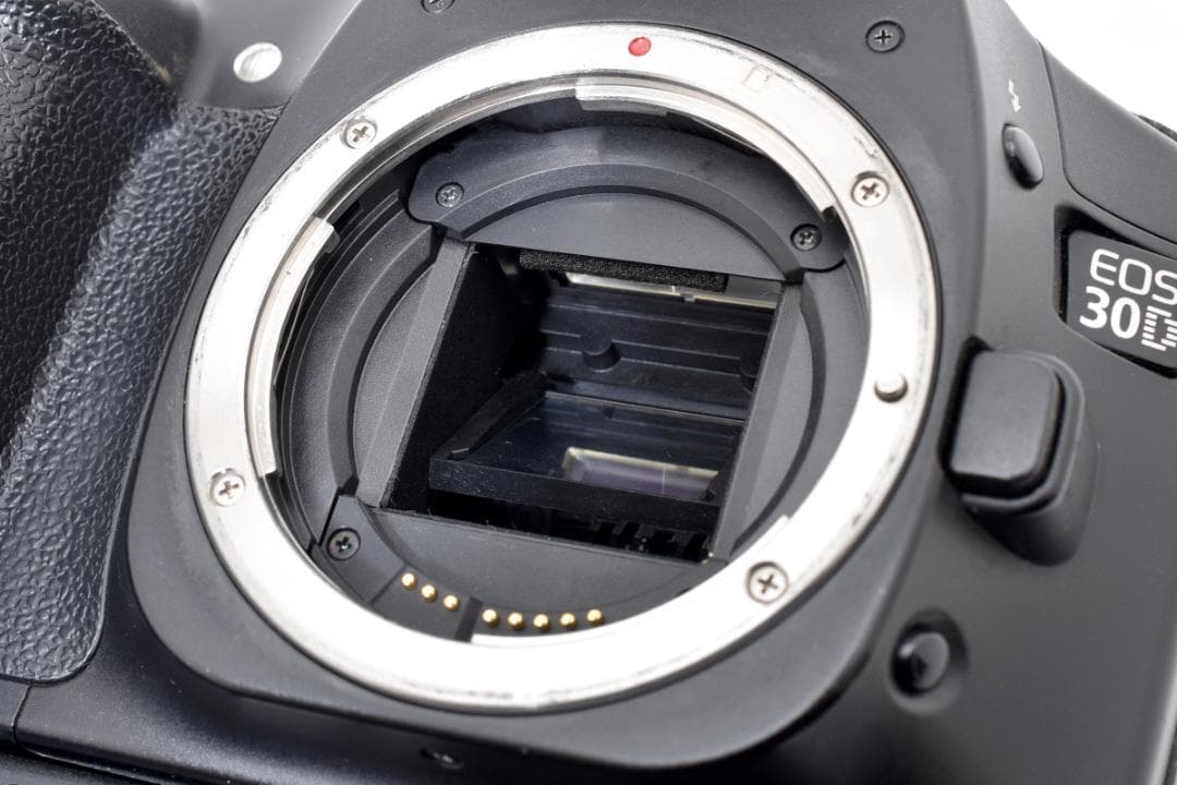 【純正グリップ付き】キャノン EOS30D＋BG-E2 動作好調 カメラ