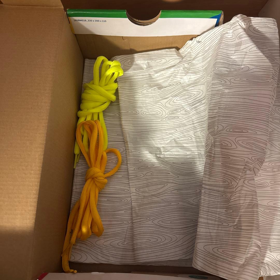 美品　Nike Dunk SB 【ワットザポールロドリゲス】