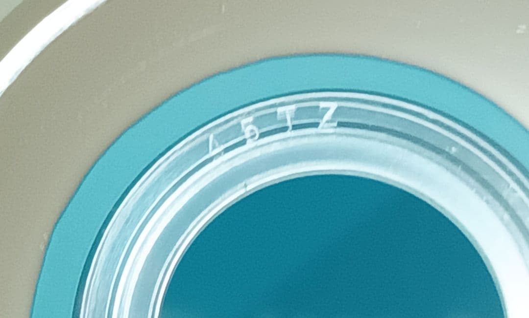 【正規品】 Man 素顔4 Man盤 DVD