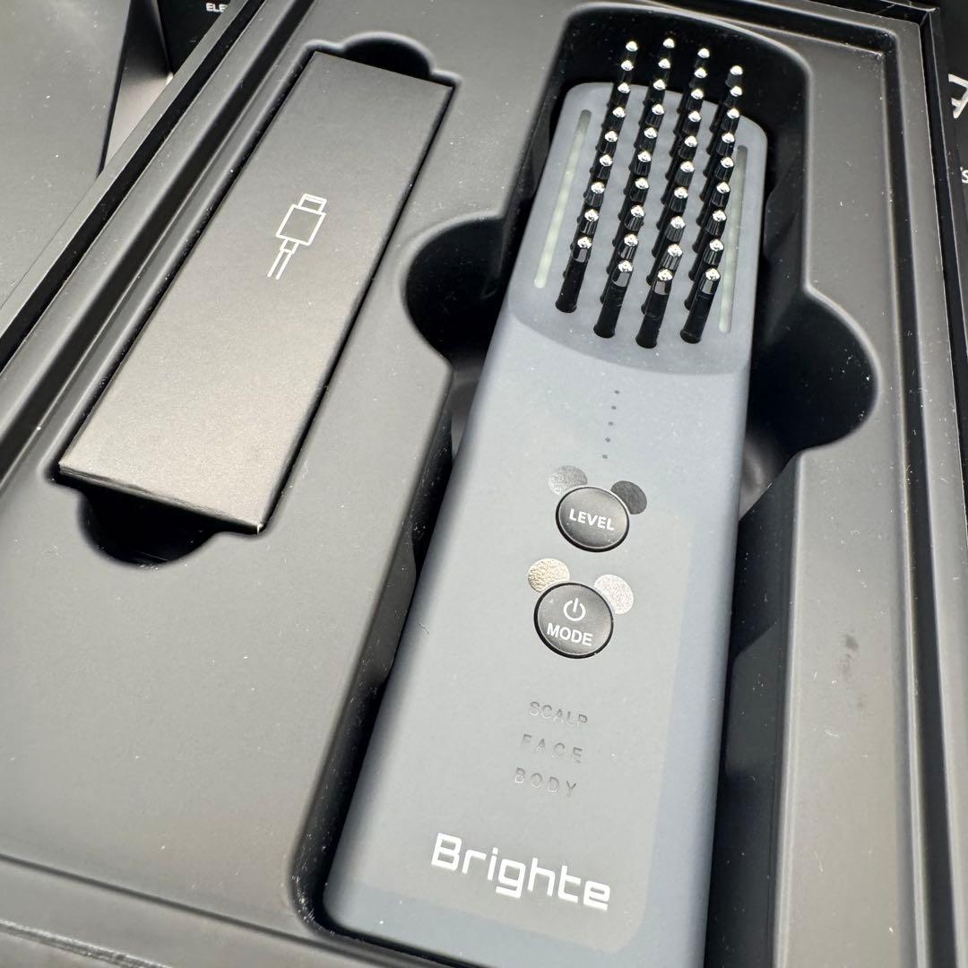 新品　Brighte ELEKIBRUSH+ ミッキー エレキブラシプラス