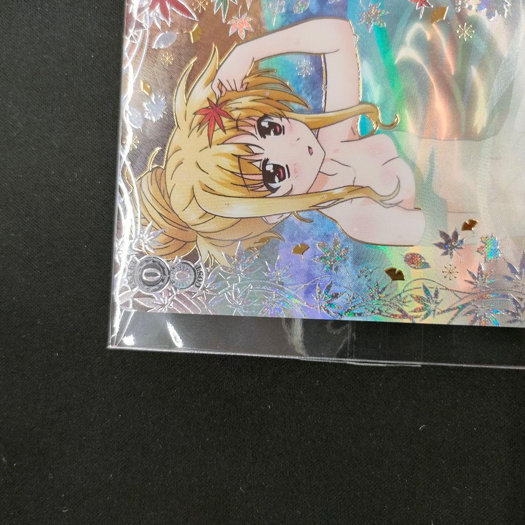 セット　優勝PR　PR+　これからのこと フェイト