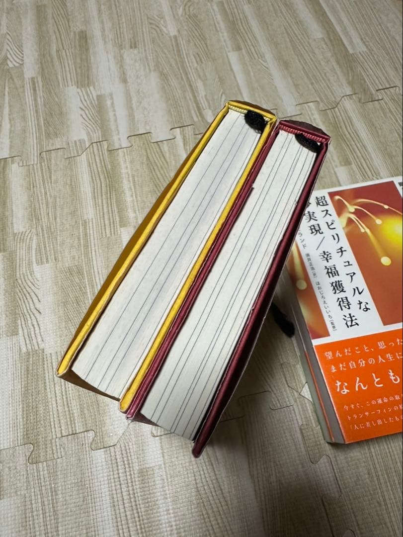 H*T様 絶版 トランサーフィン ヴァジム・ゼランド 4冊 まとめ売り