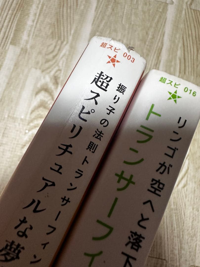 H*T様 絶版 トランサーフィン ヴァジム・ゼランド 4冊 まとめ売り