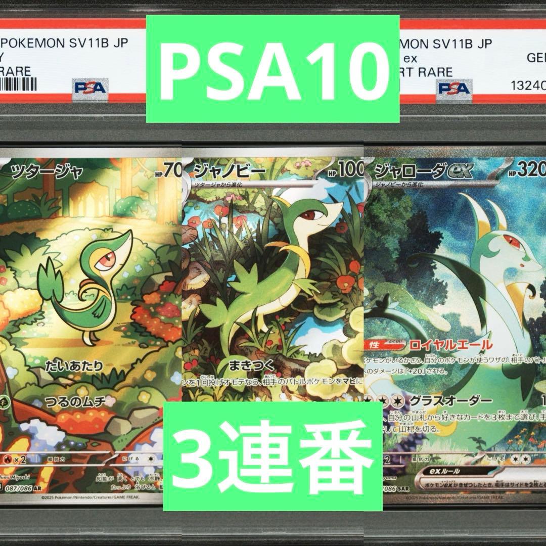 【PSA10】ポケモンカード　ジャローダex SAR ツタージャ　ジャノビー