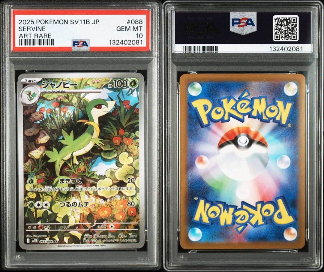 【PSA10】ポケモンカード　ジャローダex SAR ツタージャ　ジャノビー