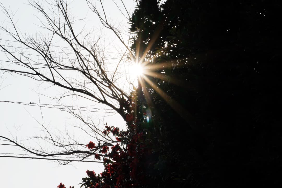 【運動会・スポーツに】SONY 望遠ズームレンズ SEL55210 183