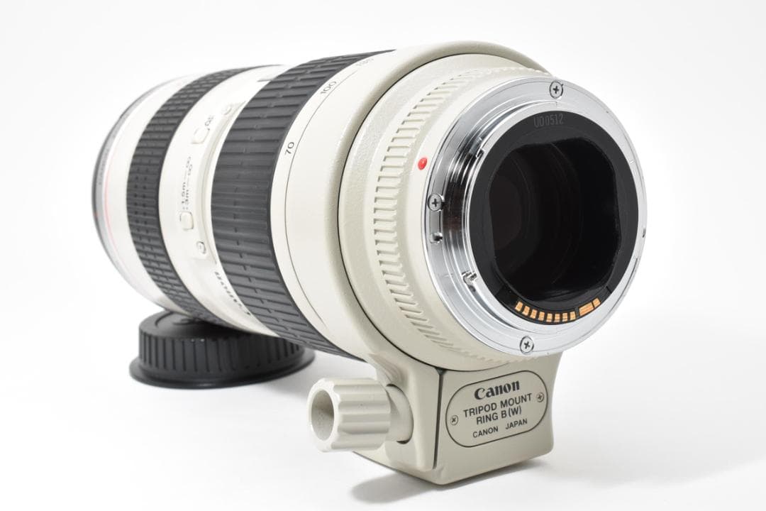 Canon EF 70-200mm F2.8 L USM 望遠ズームレンズ