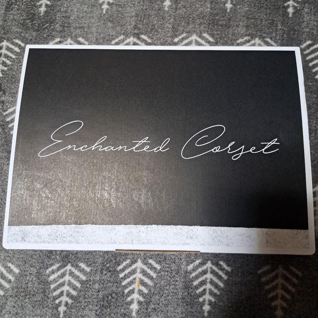 【XXLサイズ】Venus ヴィーナス　コルセット 元鈴木さん ベージュ